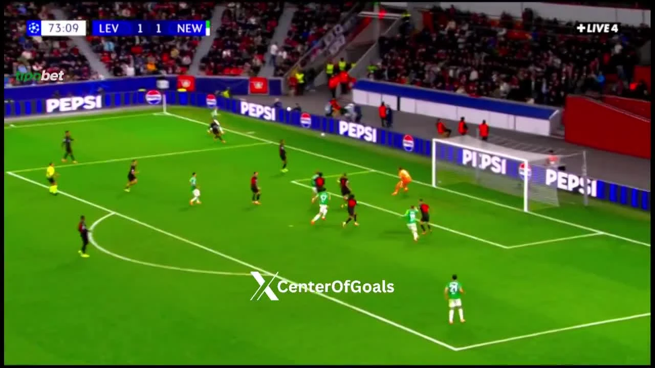 zaslepka skrotu video