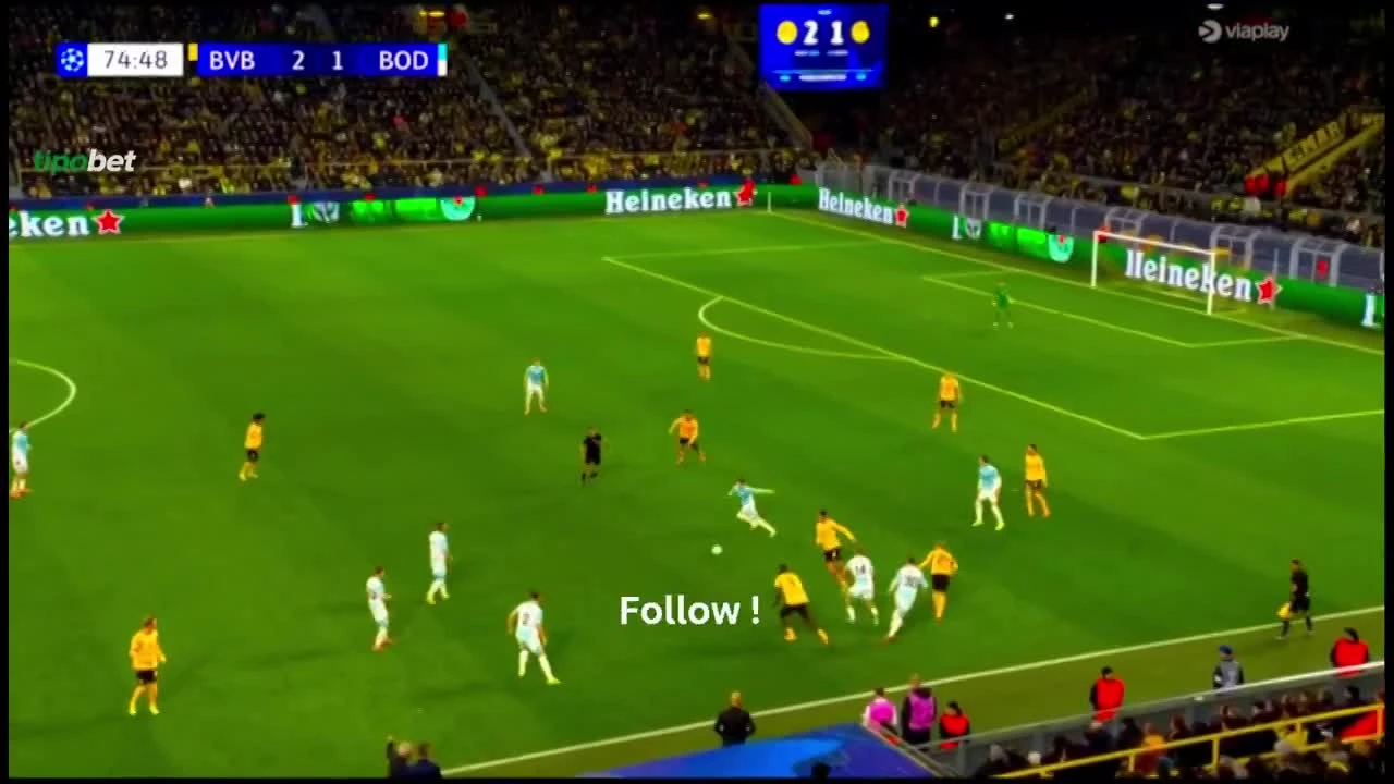 zaslepka skrotu video