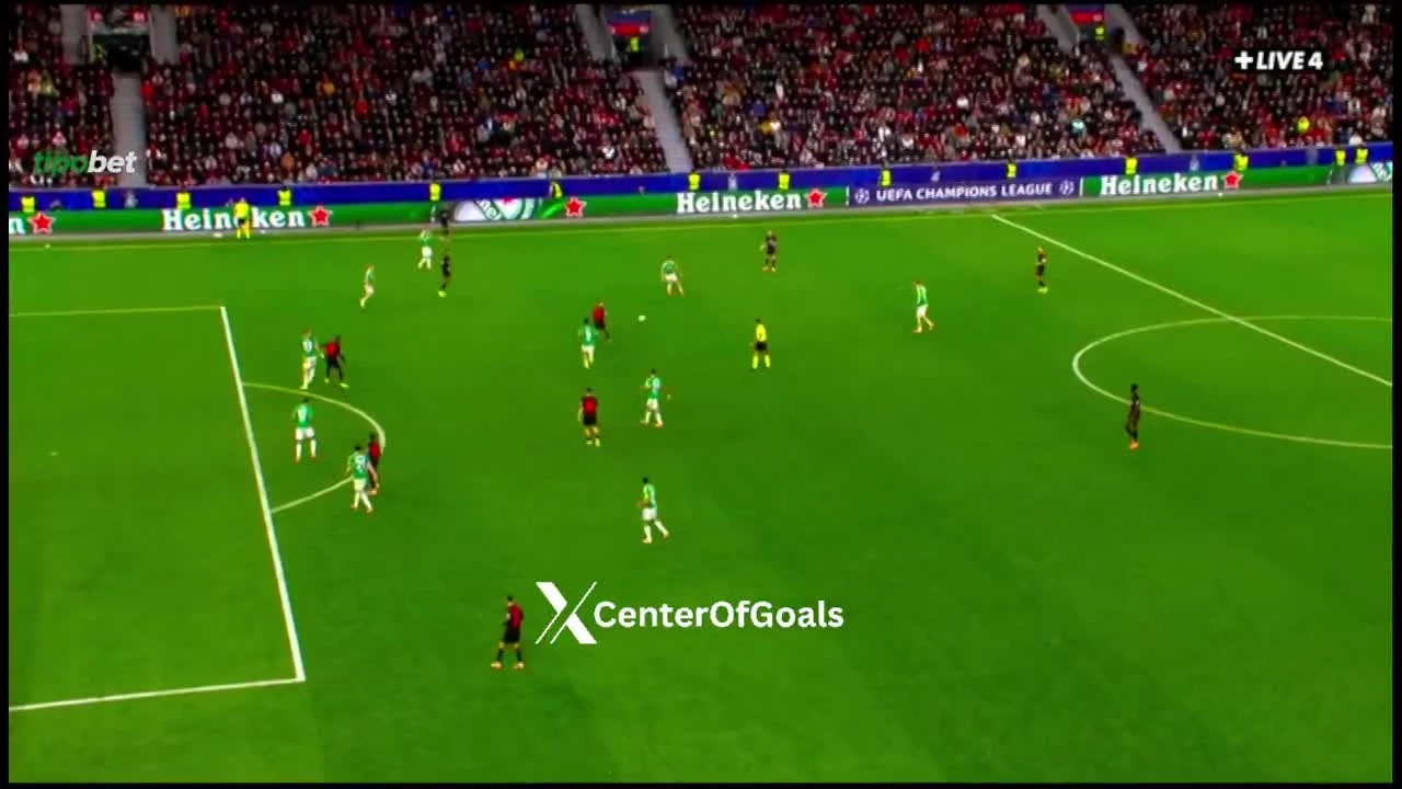 zaslepka skrotu video