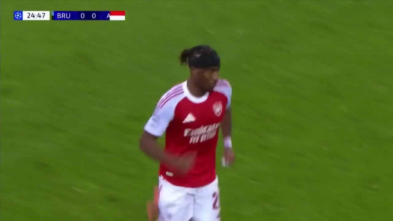 zaslepka skrotu video