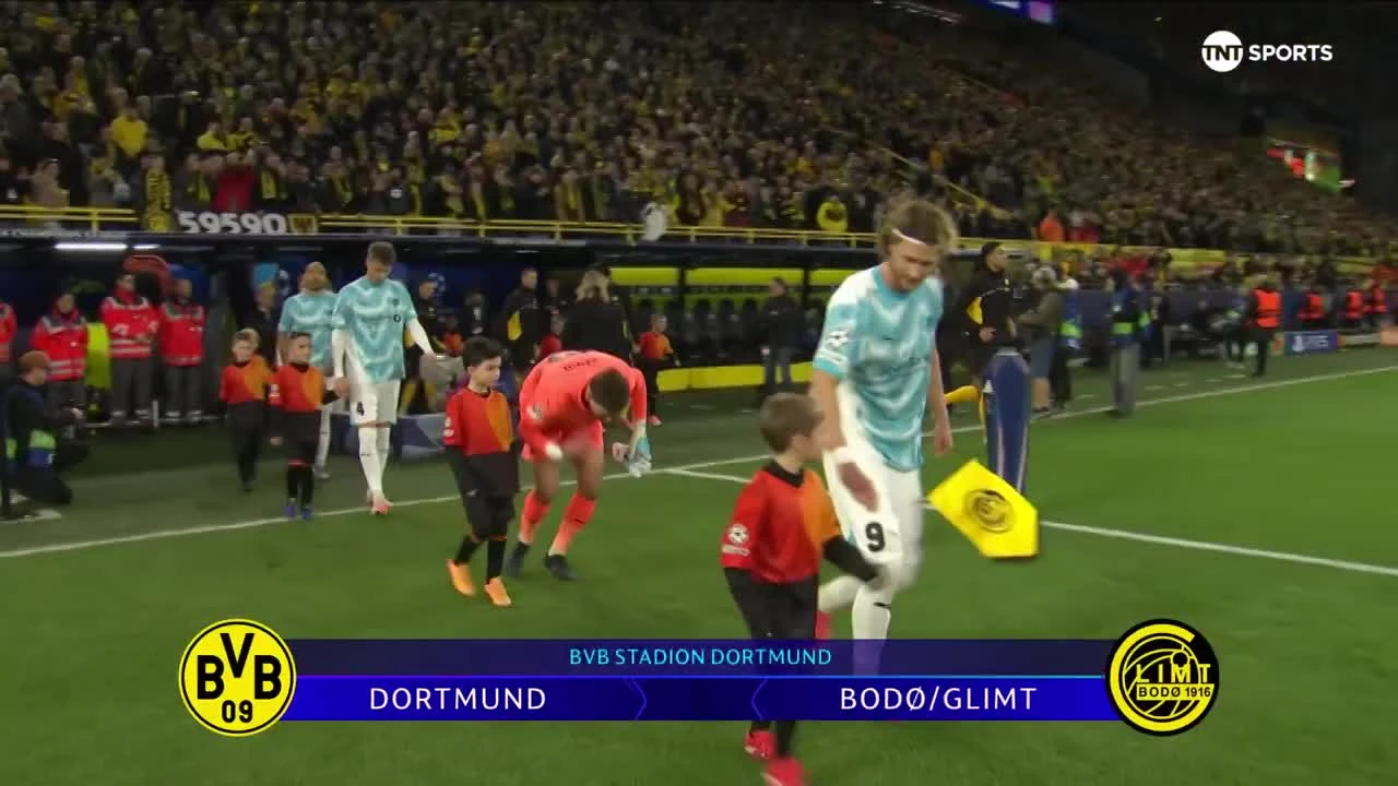 zaslepka skrotu video