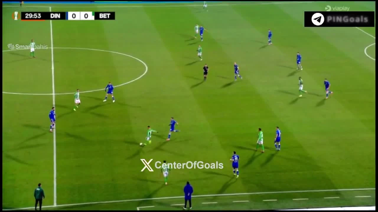 zaslepka skrotu video