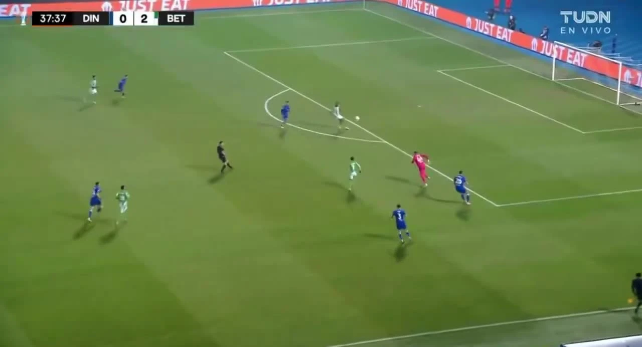 zaslepka skrotu video