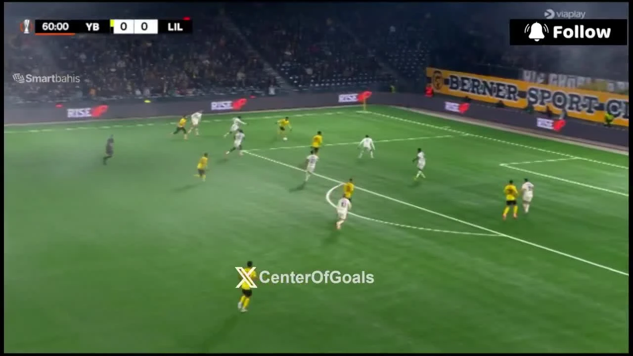 zaslepka skrotu video