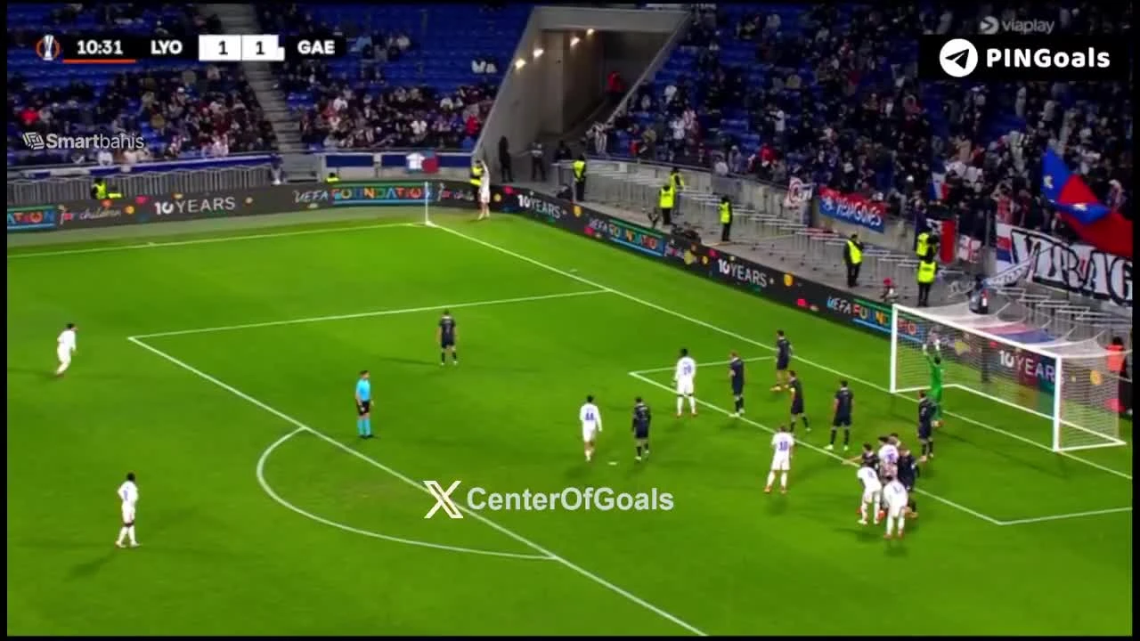 zaslepka skrotu video