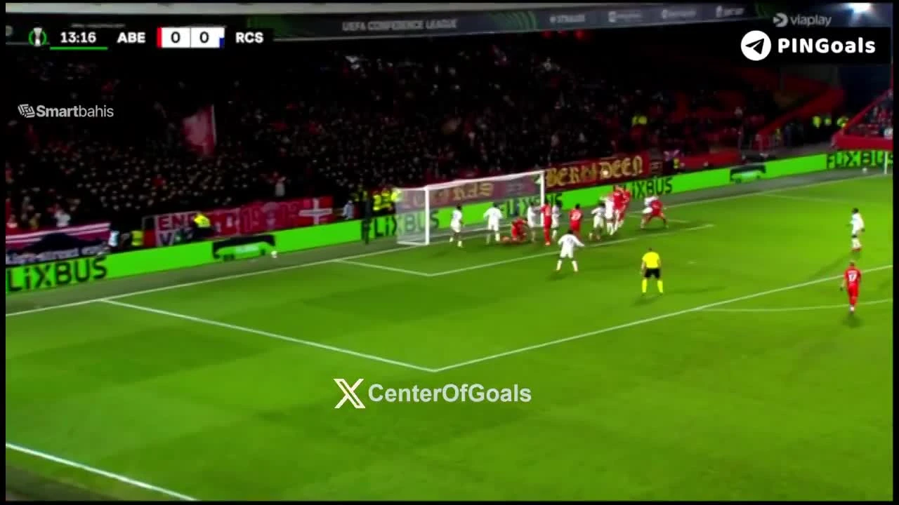 zaslepka skrotu video