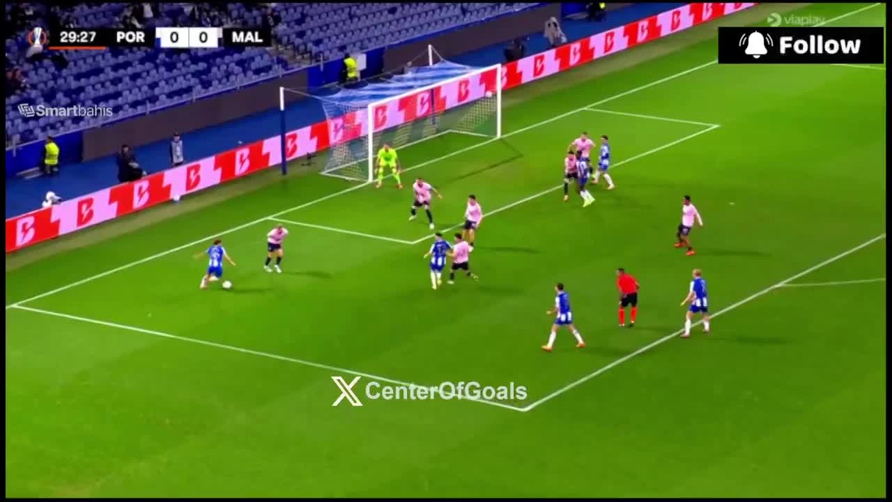 zaslepka skrotu video