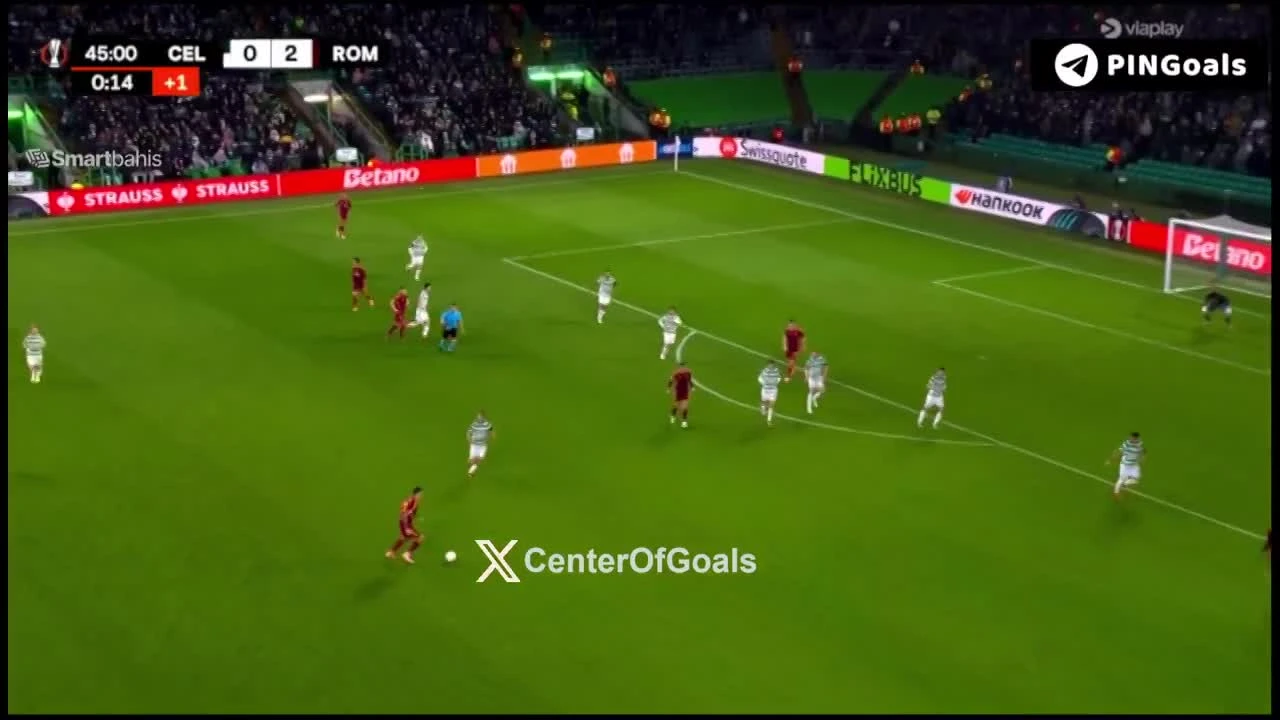 zaslepka skrotu video