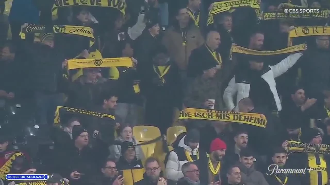 zaslepka skrotu video