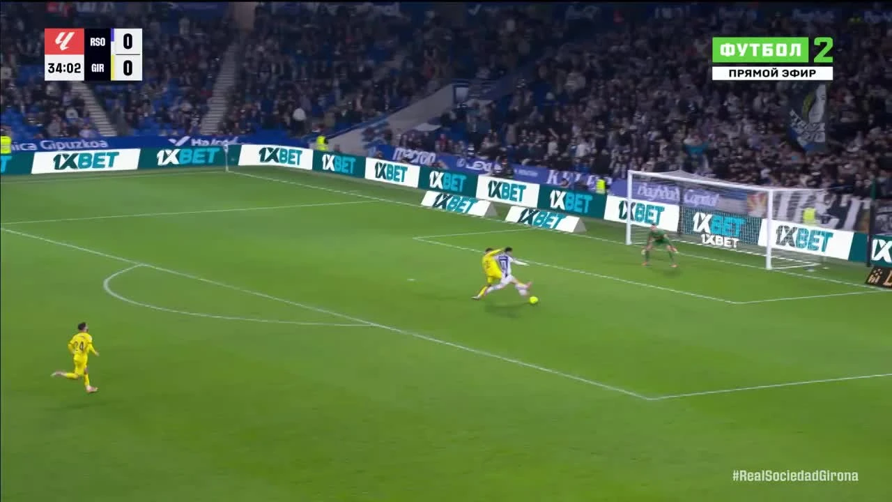 zaslepka skrotu video