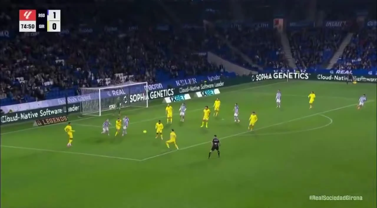 zaslepka skrotu video