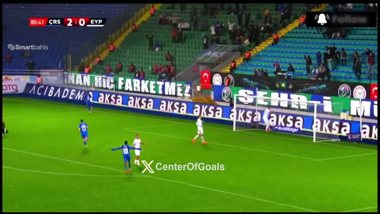 zaslepka skrotu video