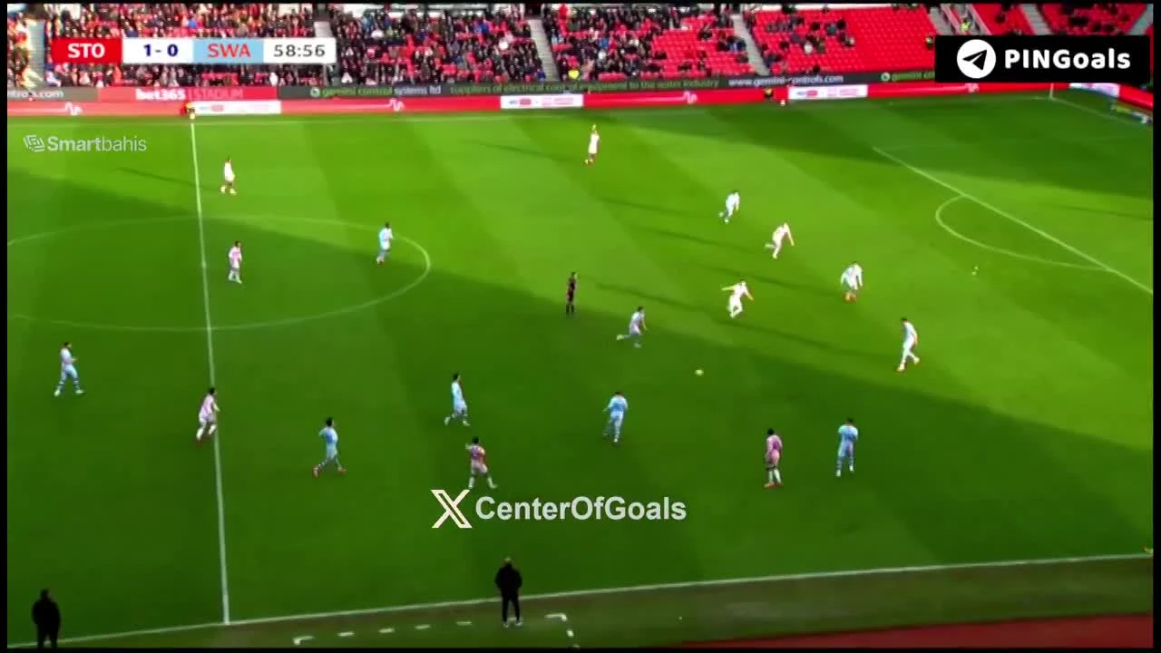 zaslepka skrotu video