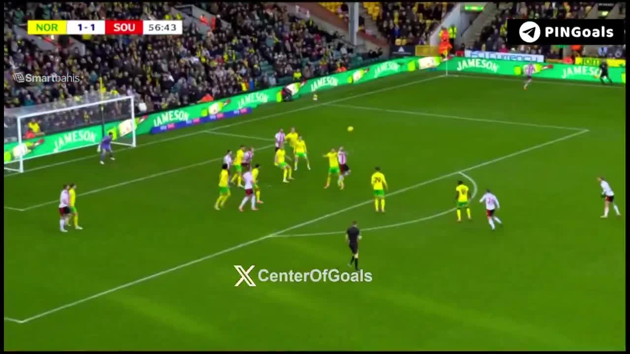 zaslepka skrotu video