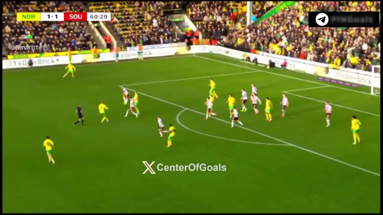 zaslepka skrotu video