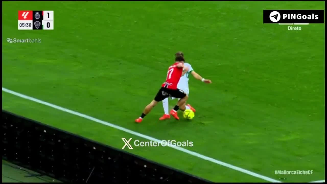 zaslepka skrotu video