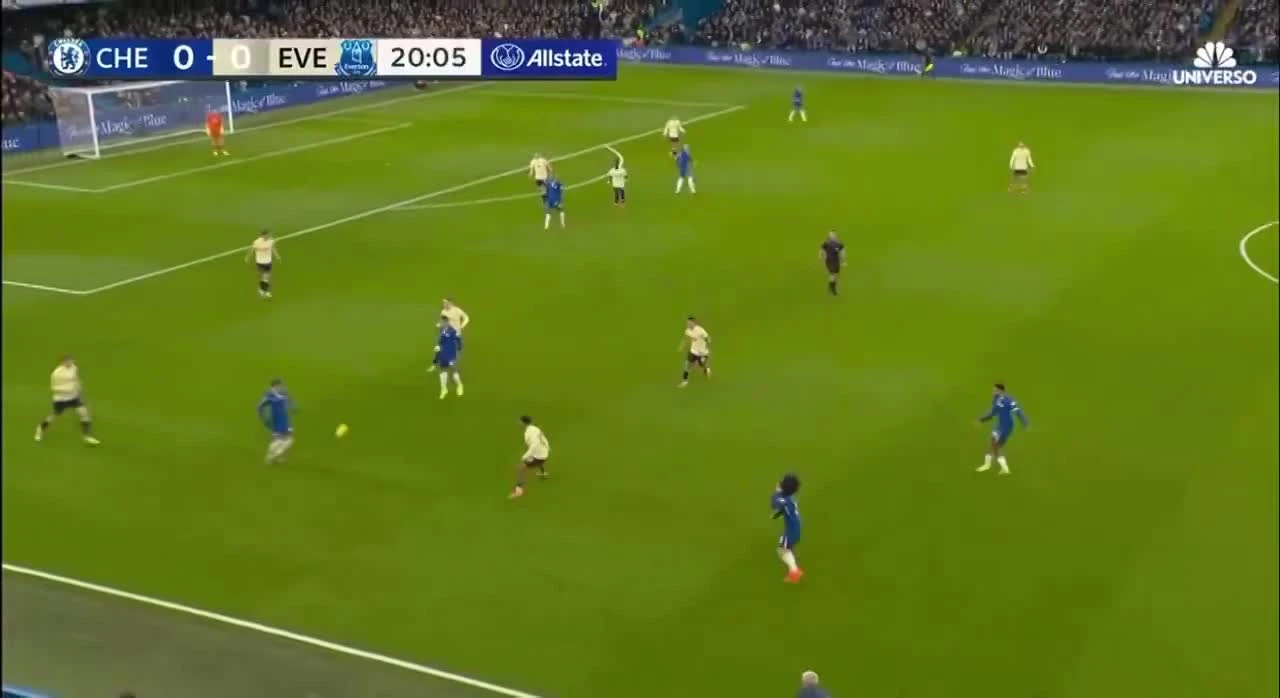 zaslepka skrotu video