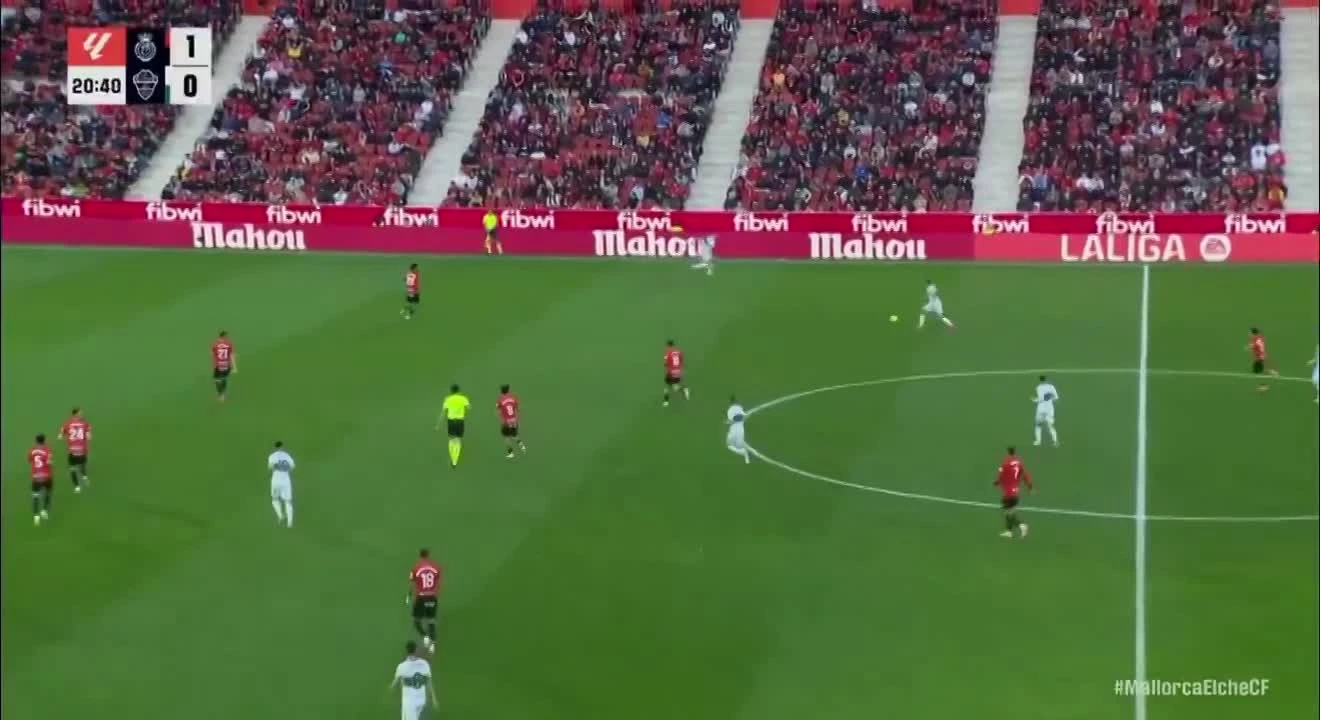 zaslepka skrotu video