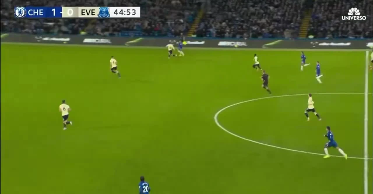 zaslepka skrotu video