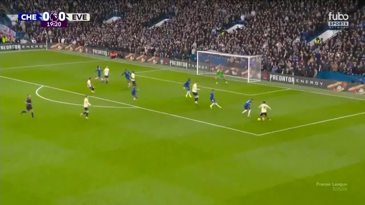 zaslepka skrotu video