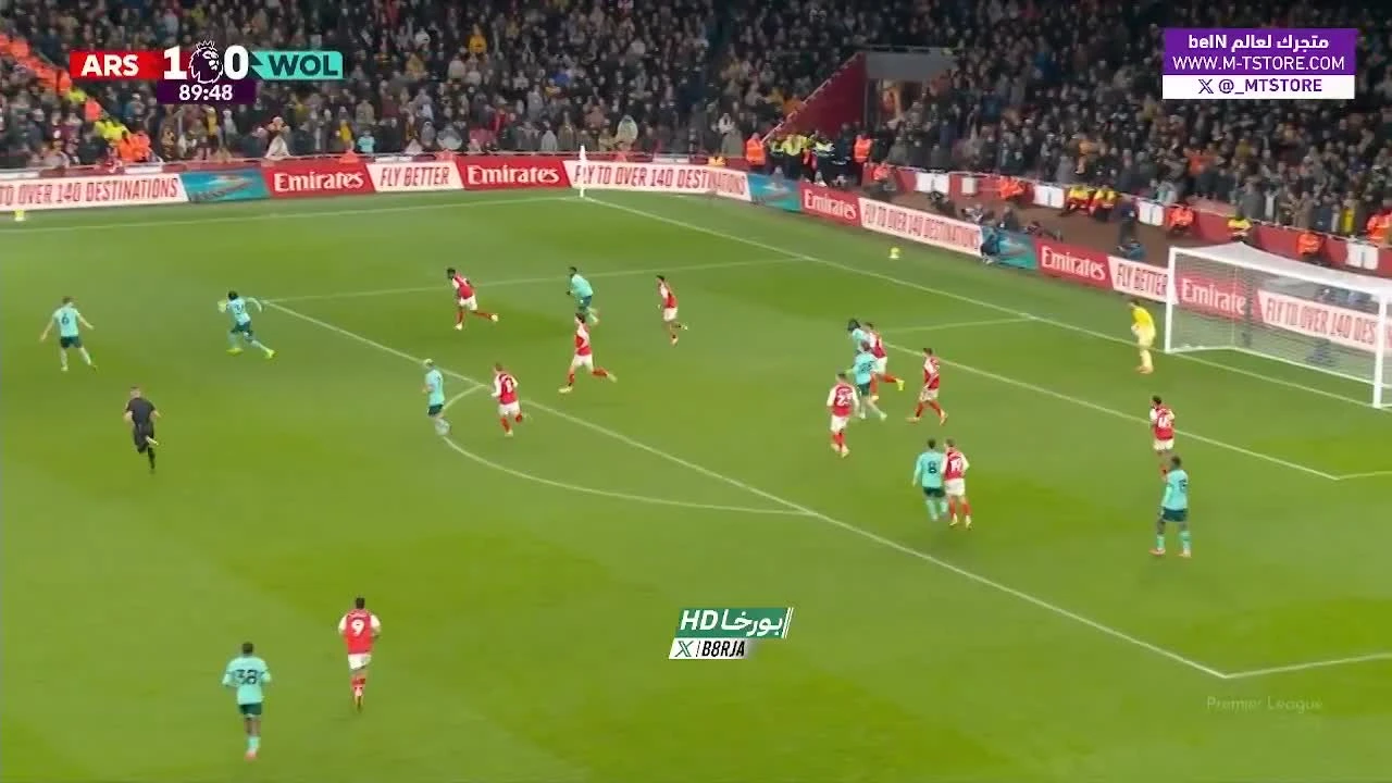 zaslepka skrotu video