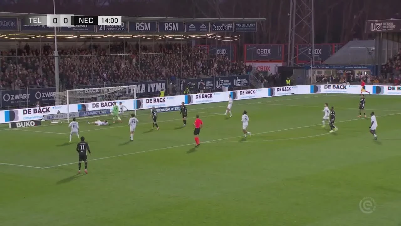 zaslepka skrotu video