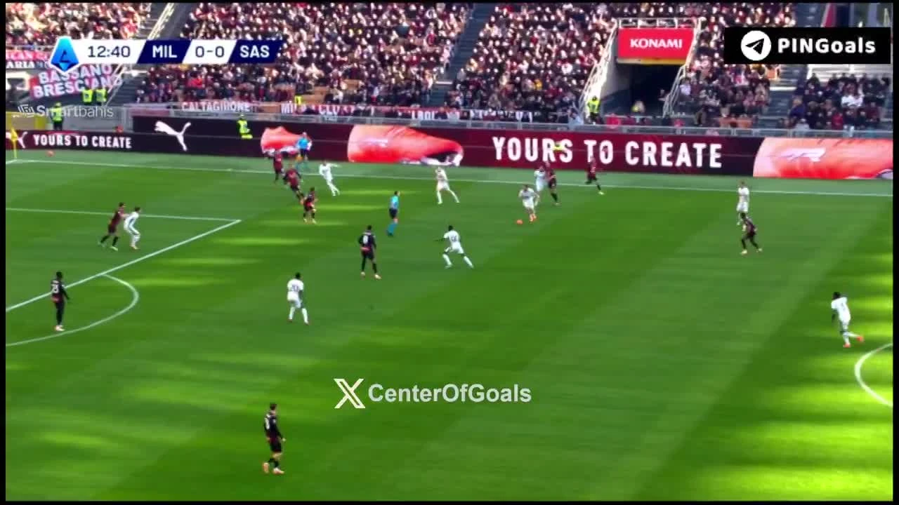 zaslepka skrotu video