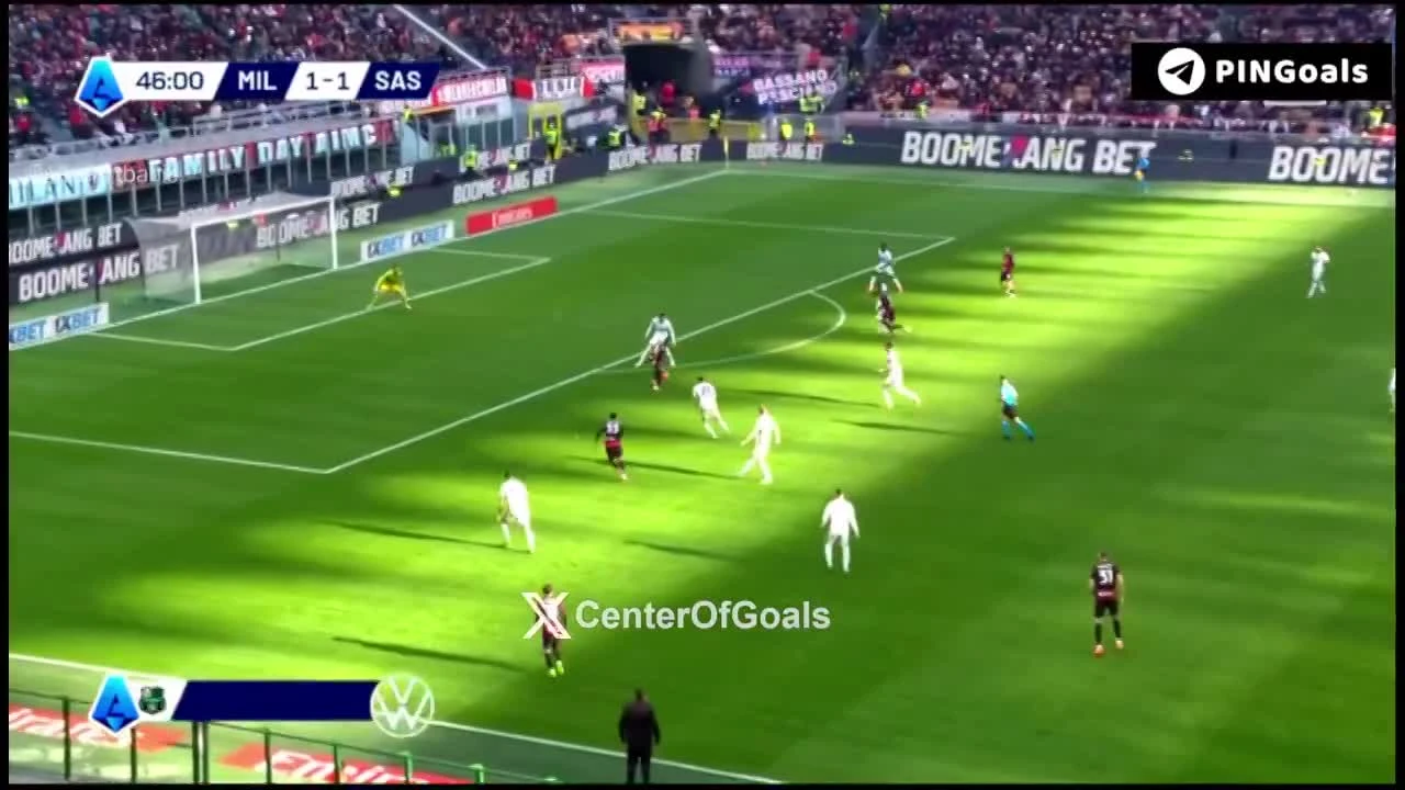 zaslepka skrotu video