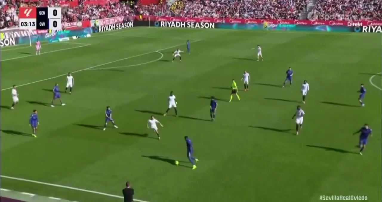 zaslepka skrotu video