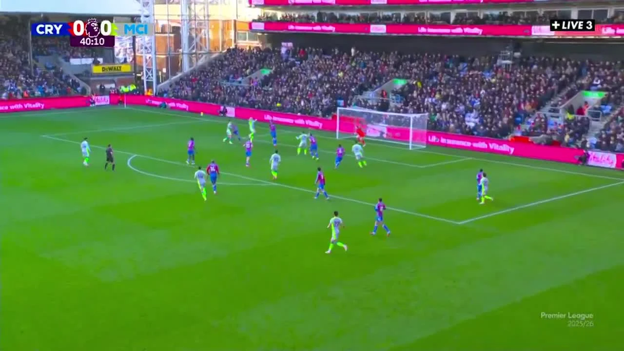 zaslepka skrotu video