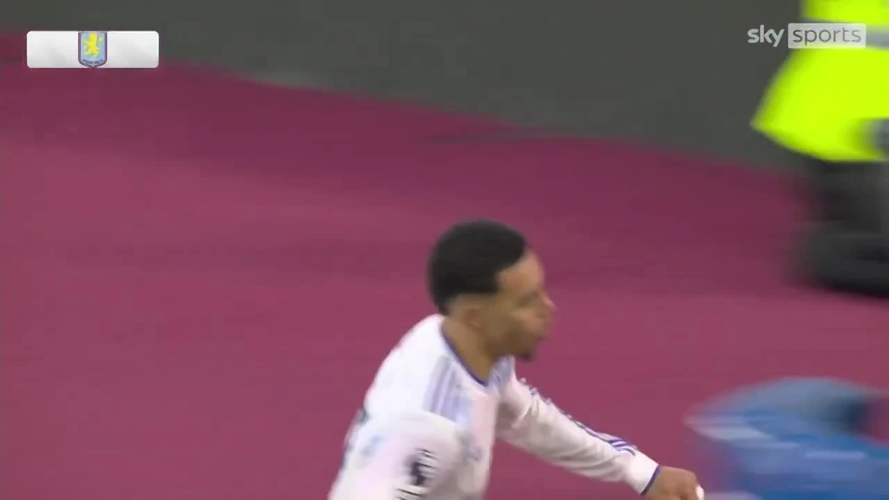 zaslepka skrotu video