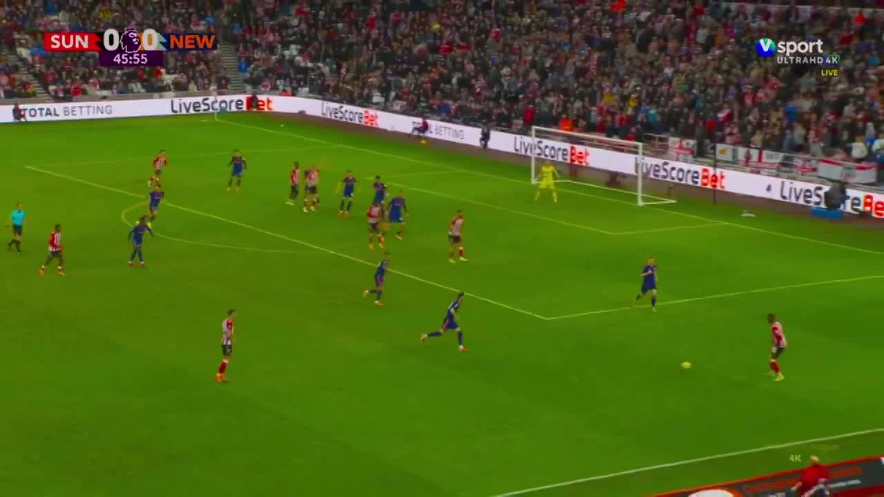 zaslepka skrotu video