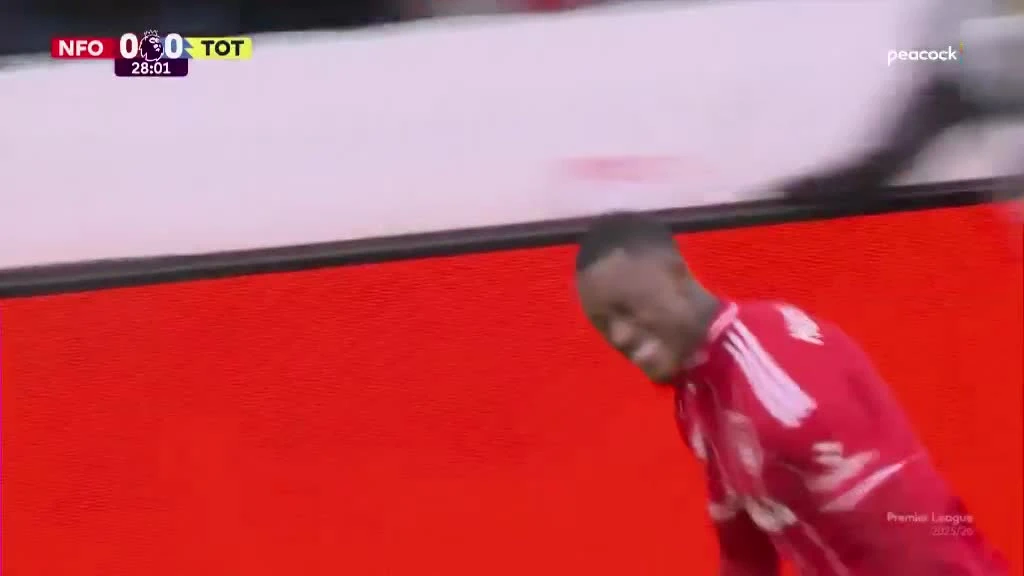 zaslepka skrotu video