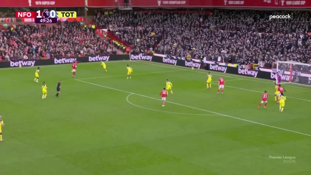 zaslepka skrotu video