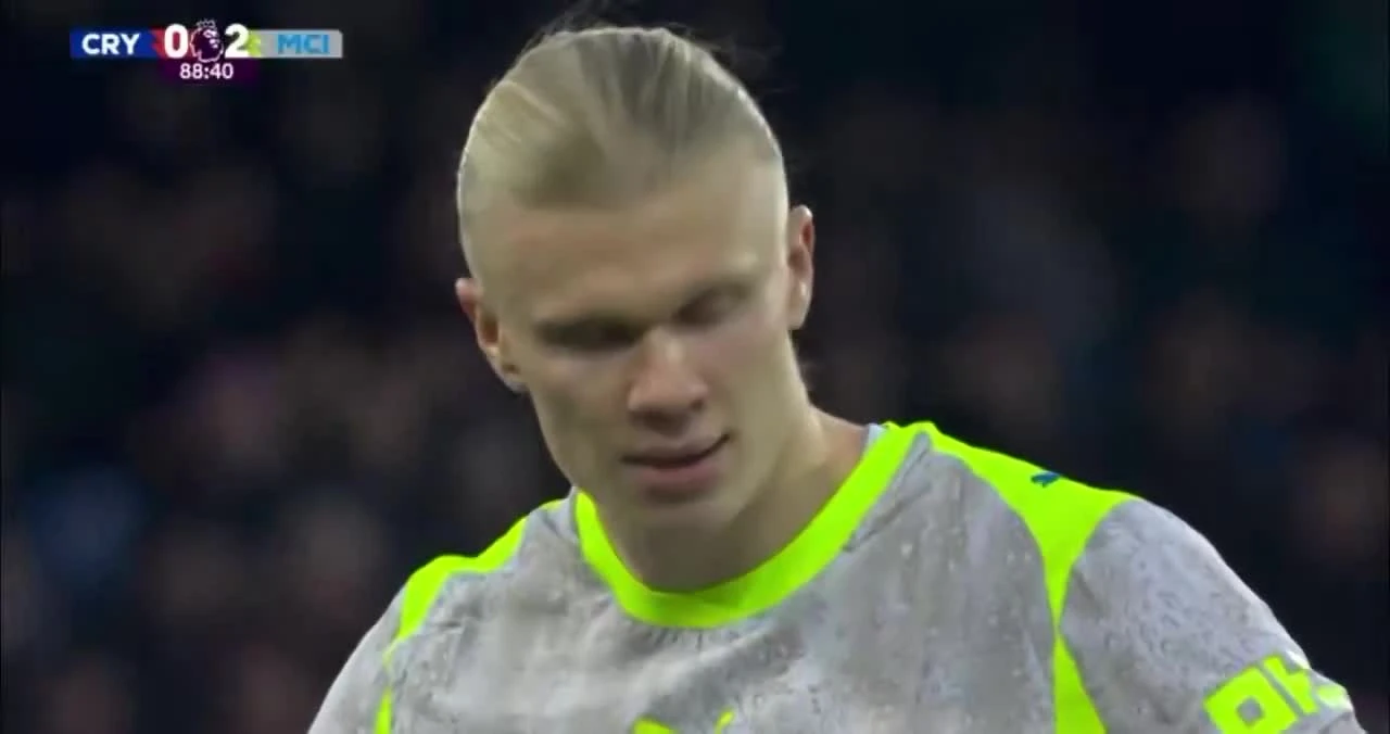 zaslepka skrotu video