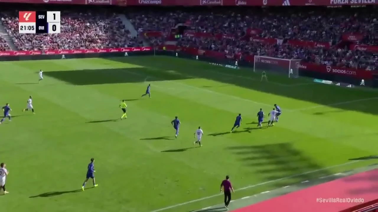 zaslepka skrotu video