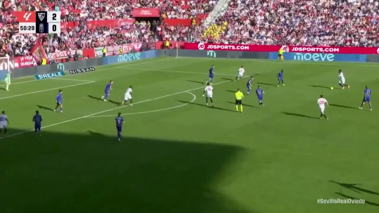 zaslepka skrotu video