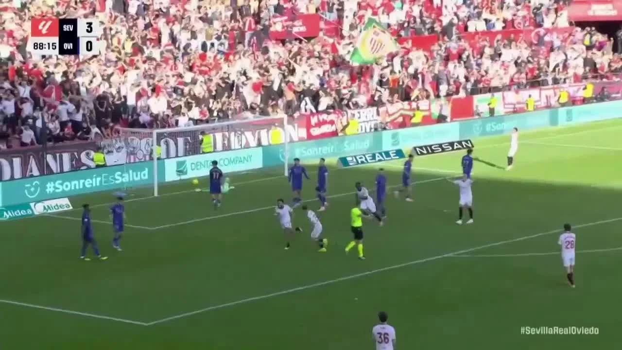 zaslepka skrotu video