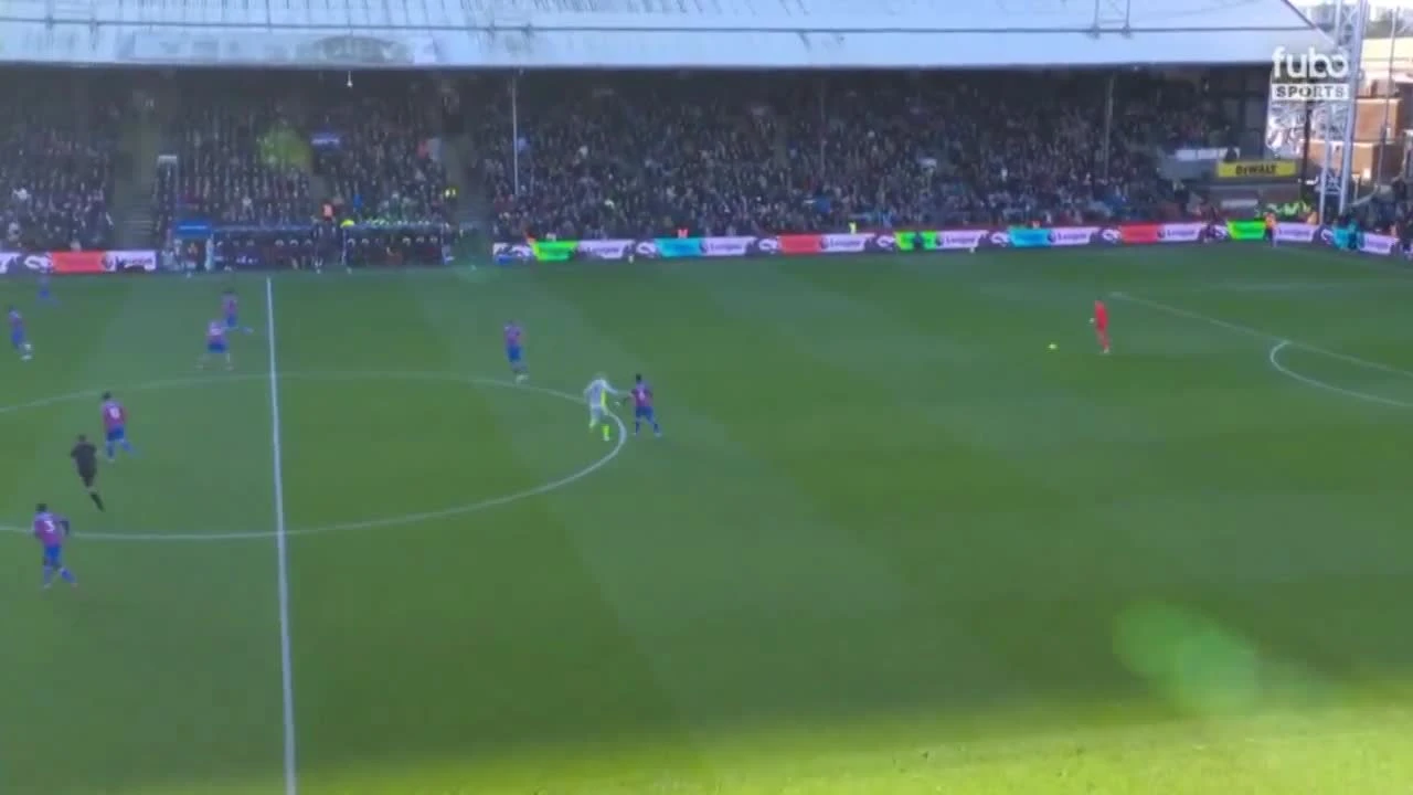 zaslepka skrotu video