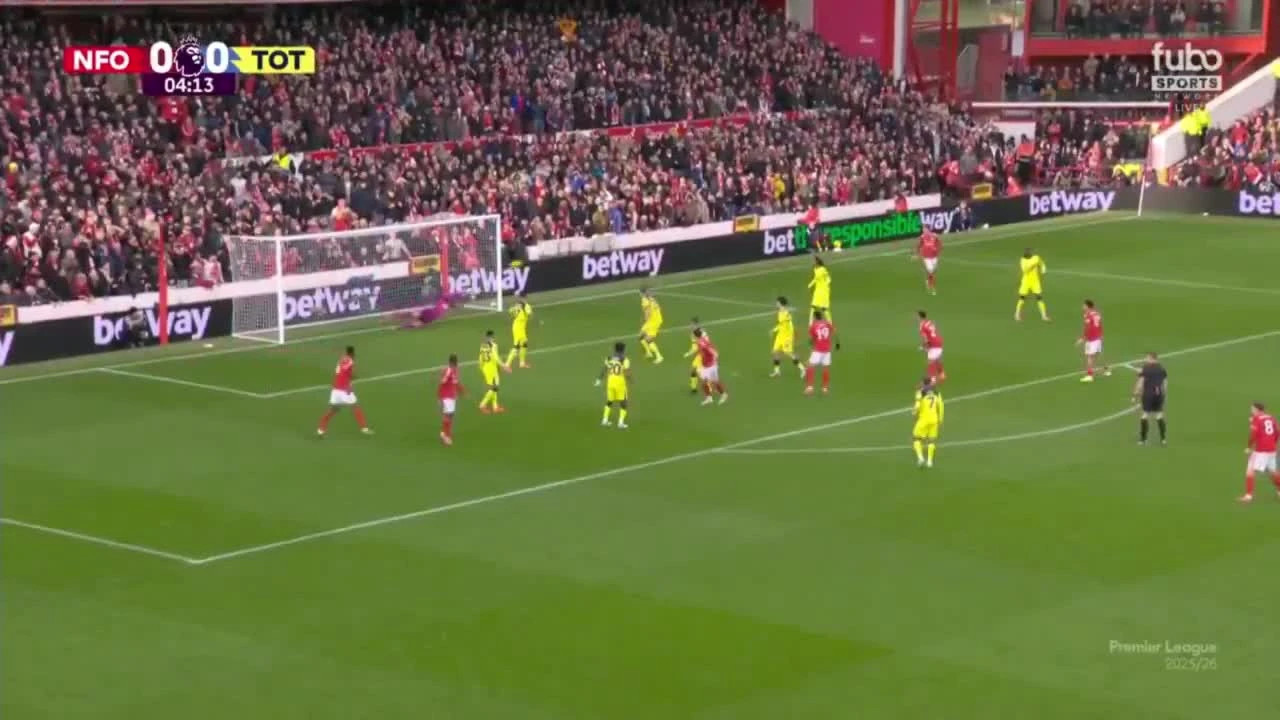 zaslepka skrotu video