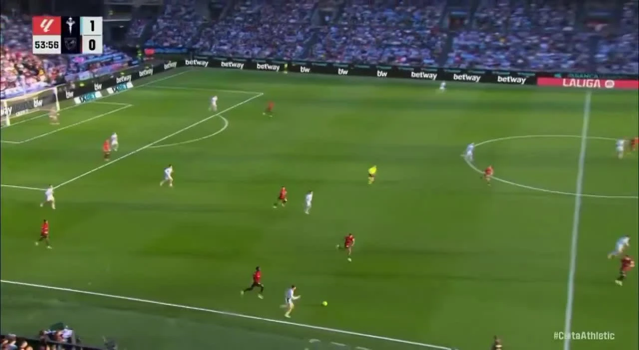 zaslepka skrotu video