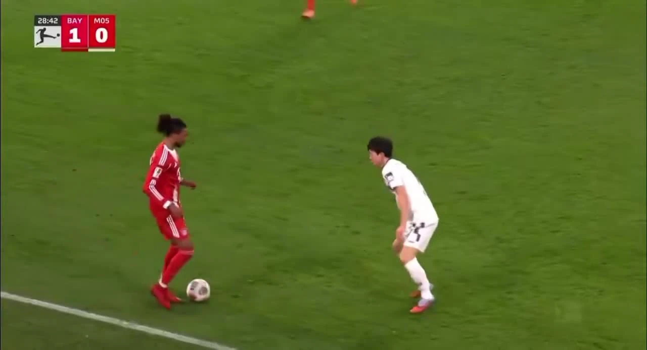 zaslepka skrotu video