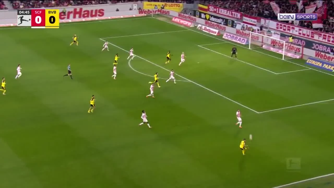 zaslepka skrotu video