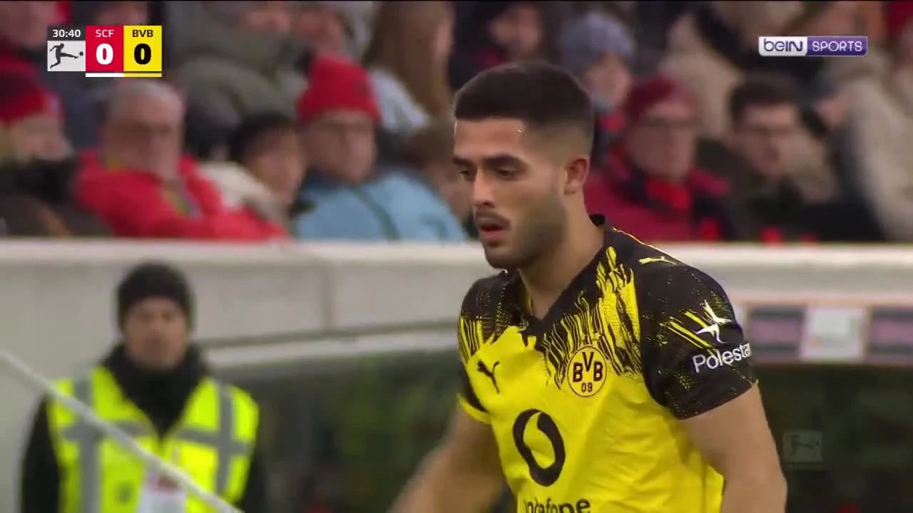 zaslepka skrotu video