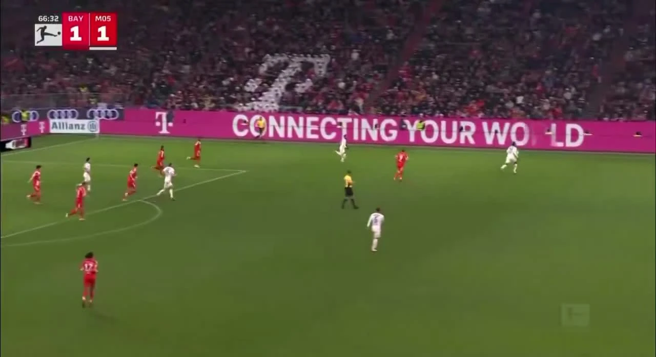 zaslepka skrotu video