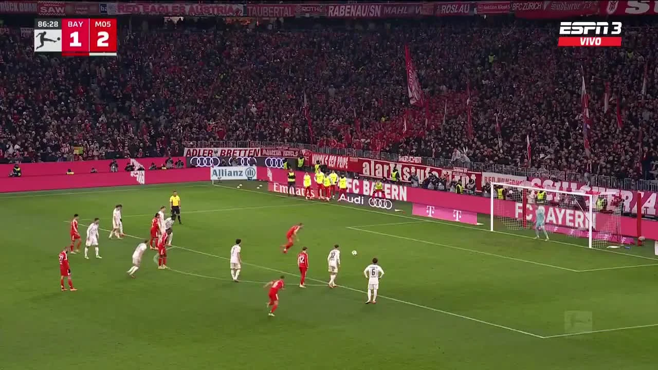 zaslepka skrotu video