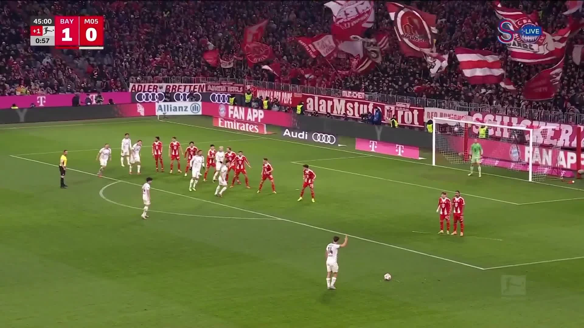 zaslepka skrotu video