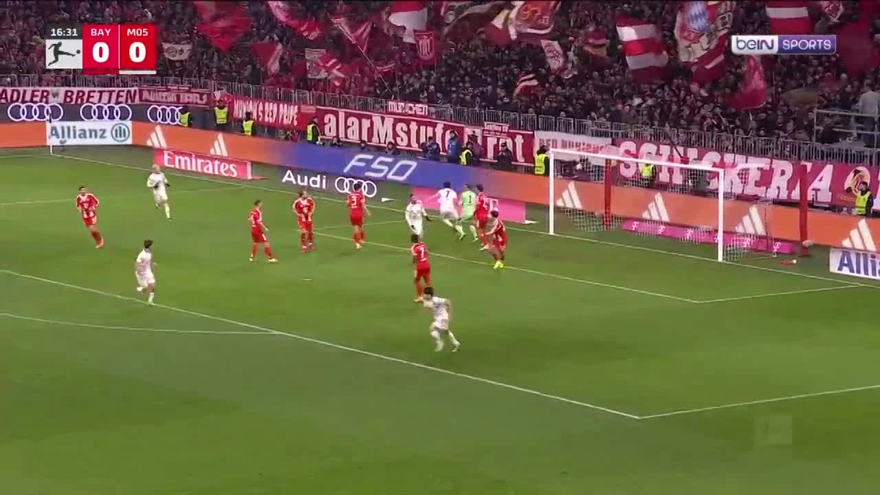 zaslepka skrotu video