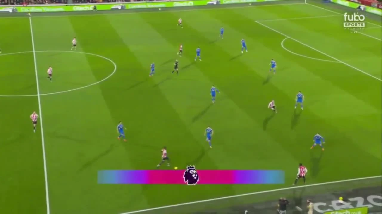 zaslepka skrotu video