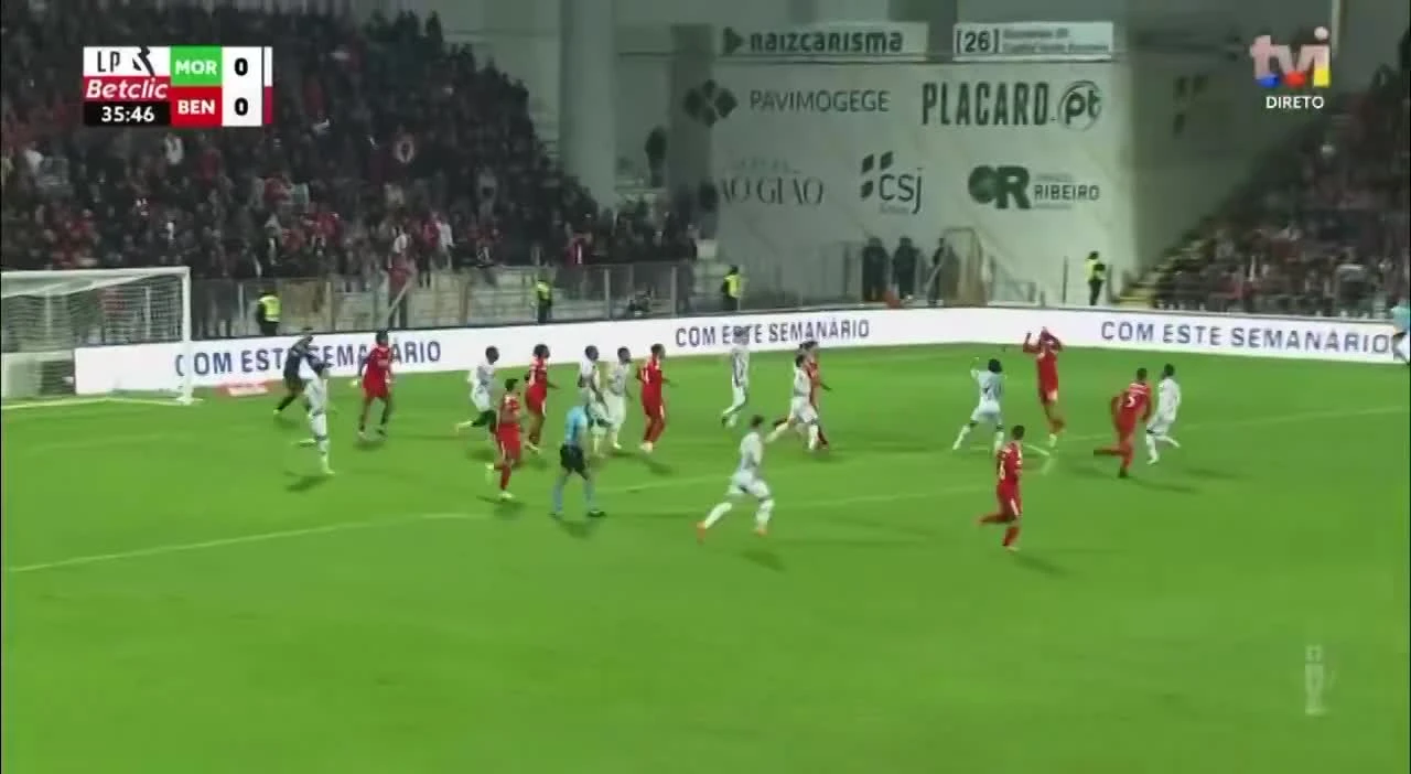 zaslepka skrotu video